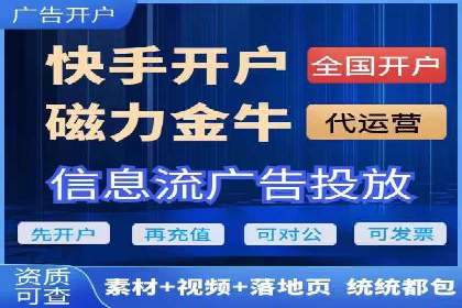 某企业通过SEM实现品牌与销售双增长的案例